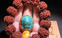 网红金刚,网红巨兽的崛起与传奇