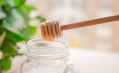 网红蜂蜜棒,甜蜜新宠，健康生活新选择